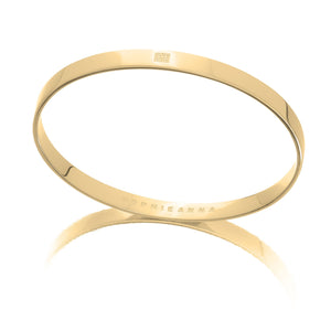 24k gold vermeil bangle 