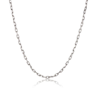 a long, elegant chain necklace that's perfect for layering